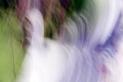 Mis Descamisados II, 2018 W24A5399084..jpg