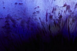 CarWashAbstractions.0070.jpg