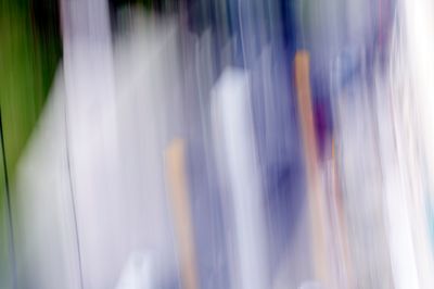 Mis Descamisados III, 2018 W24A5374059..jpg