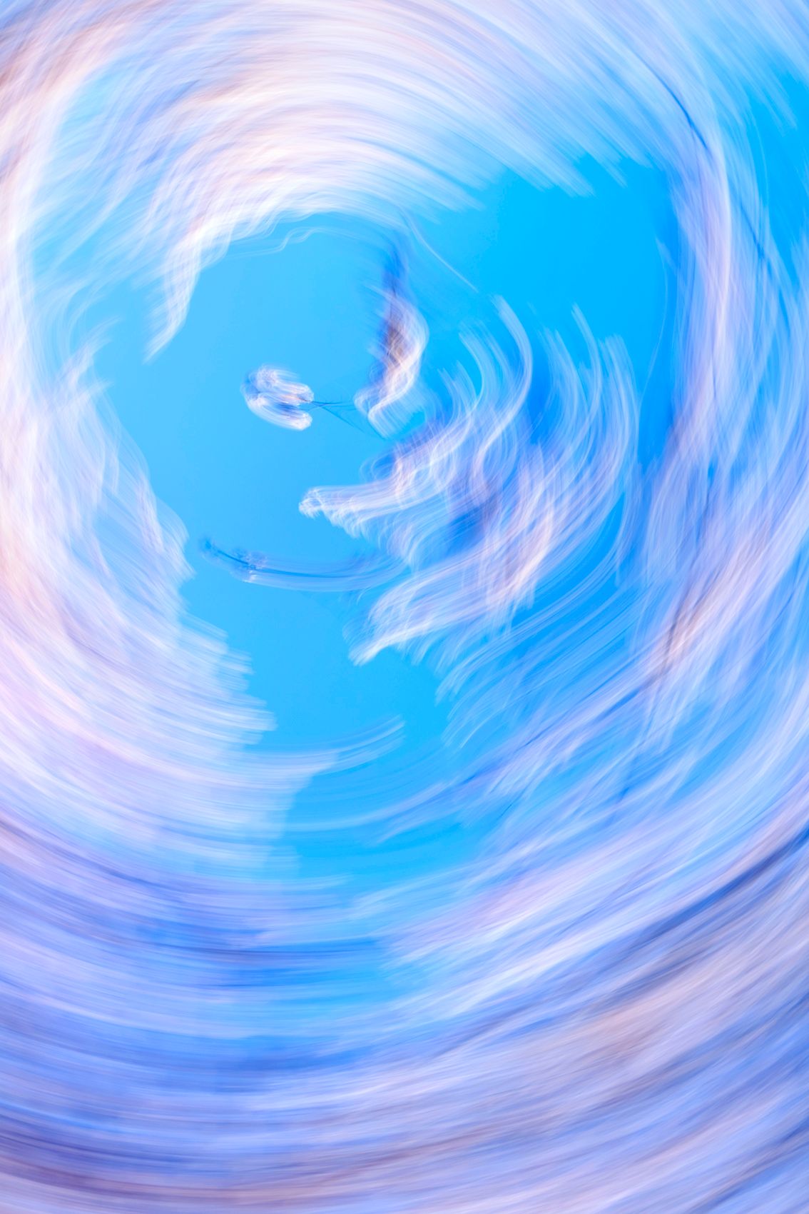 CherryBlossoms.Blur. 121.jpg