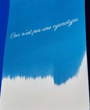 CeciNestPasUneCyanotype.118.jpg
