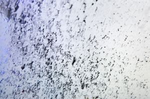 CarWashAbstractions.0075.jpg