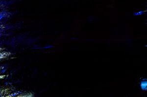 CarWashAbstractions.0085.jpg