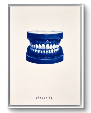 sincerity.teeth(1)_livebooks.jpg