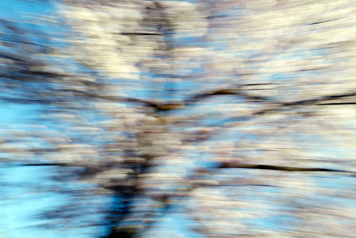 CherryBlossoms.Blur. 80.jpg