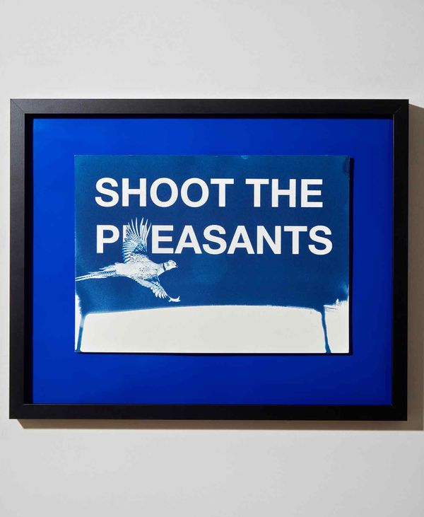 ShootthePheasants..jpg