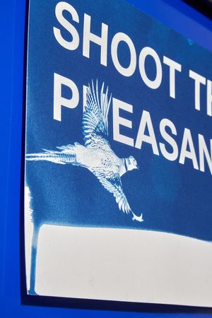 ShootthePheasants. 1.jpg