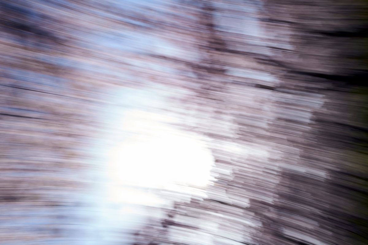 CherryBlossoms.Blur. 68.jpg