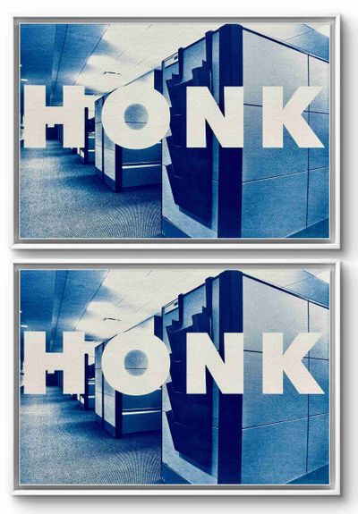 honk.honk(1)_LiveBooks.jpg