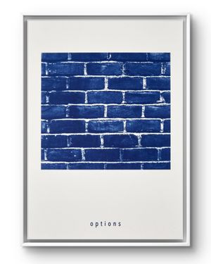options.framed(1)_livebooks.jpg