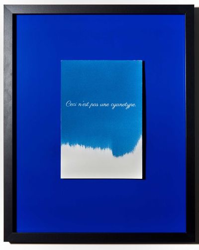 CeciNestPasUneCyanotype.121_LiveBooks.jpg