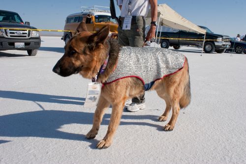 bonneville+day4_0509.jpg