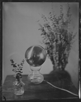Still Life, Wet Plate Print 1