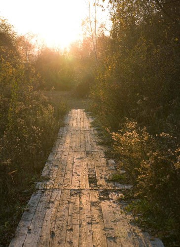Jamaica Bay Wildlife Refuge