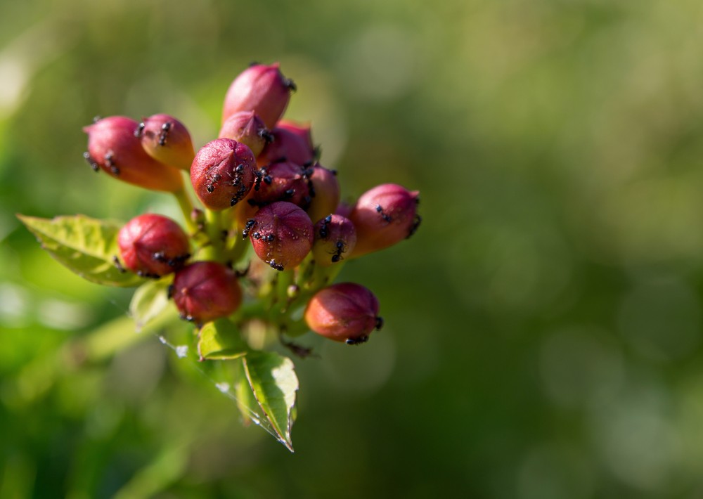 Jamaica Bay Wildlife Refuge