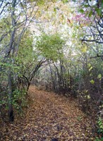 Jamaica Bay Wildlife Refuge, Queens, NYC