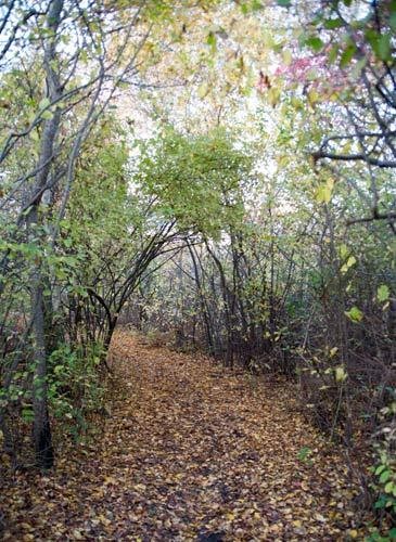 Jamaica Bay Wildlife Refuge
