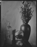 Still Life, Wet Plate Print 2