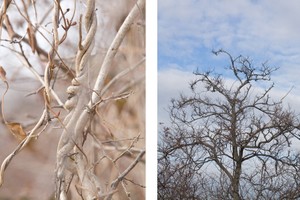 Jamaica Bay Wildlife Refuge, Queens, NYC