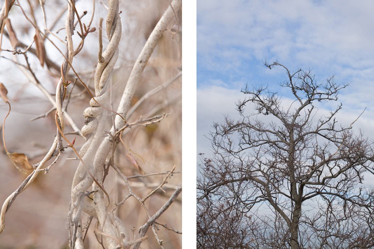 Jamaica Bay Wildlife Refuge,