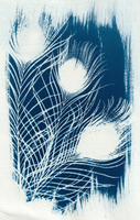 Cyanotype Photogram, Feathers