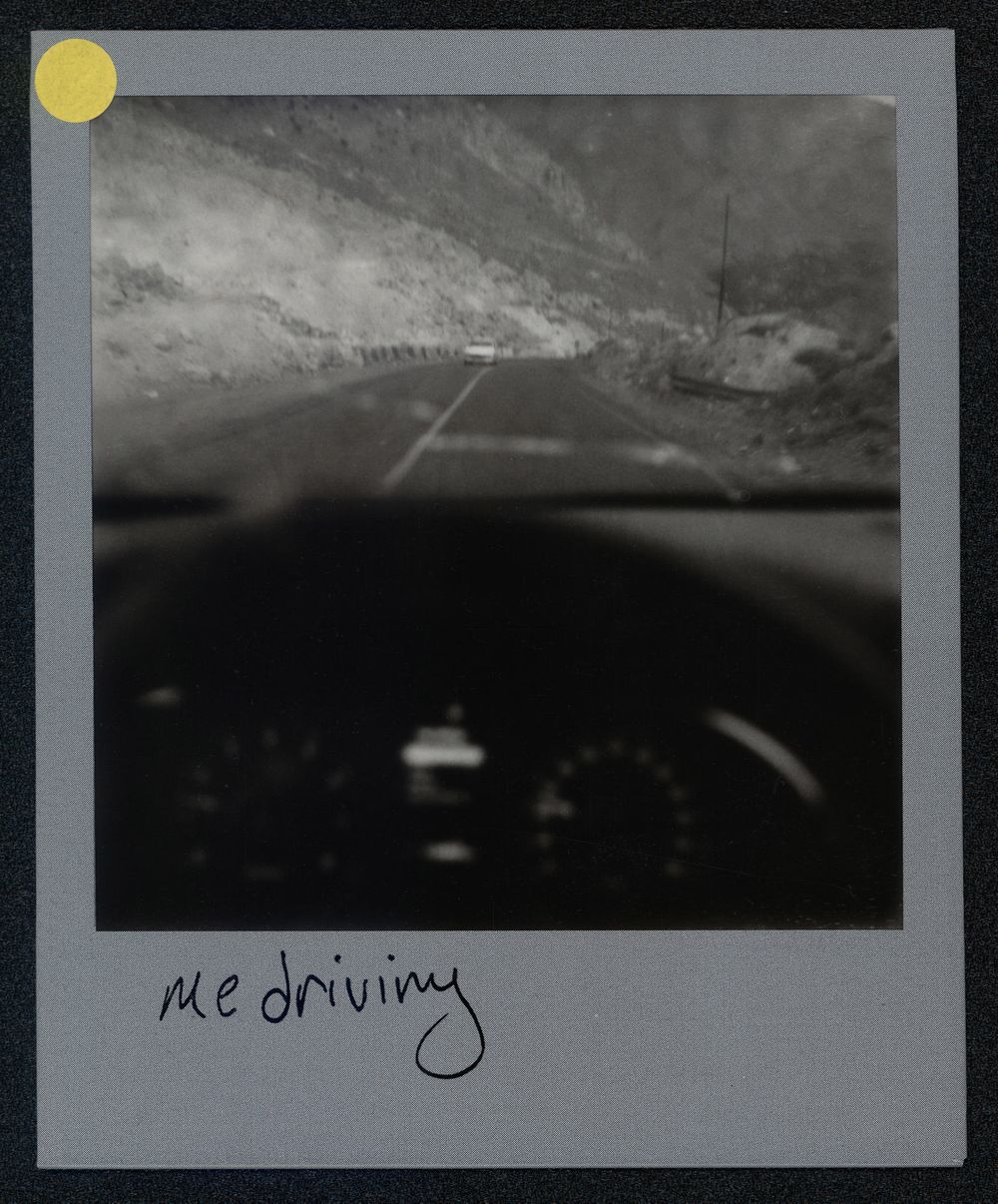 Newsha_polar_20 (1)-stmp.jpg