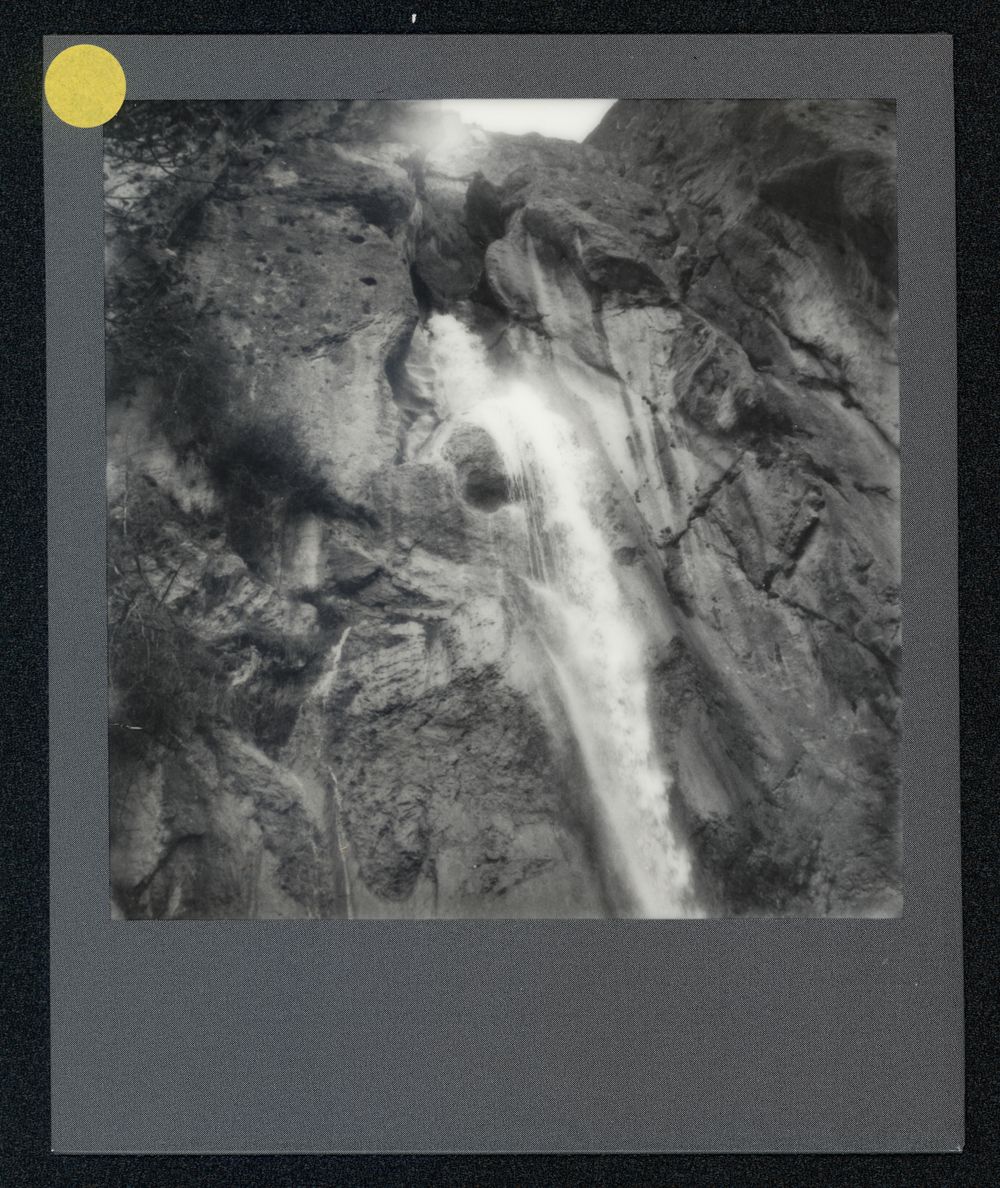 Newsha_polar_13 (1).jpg