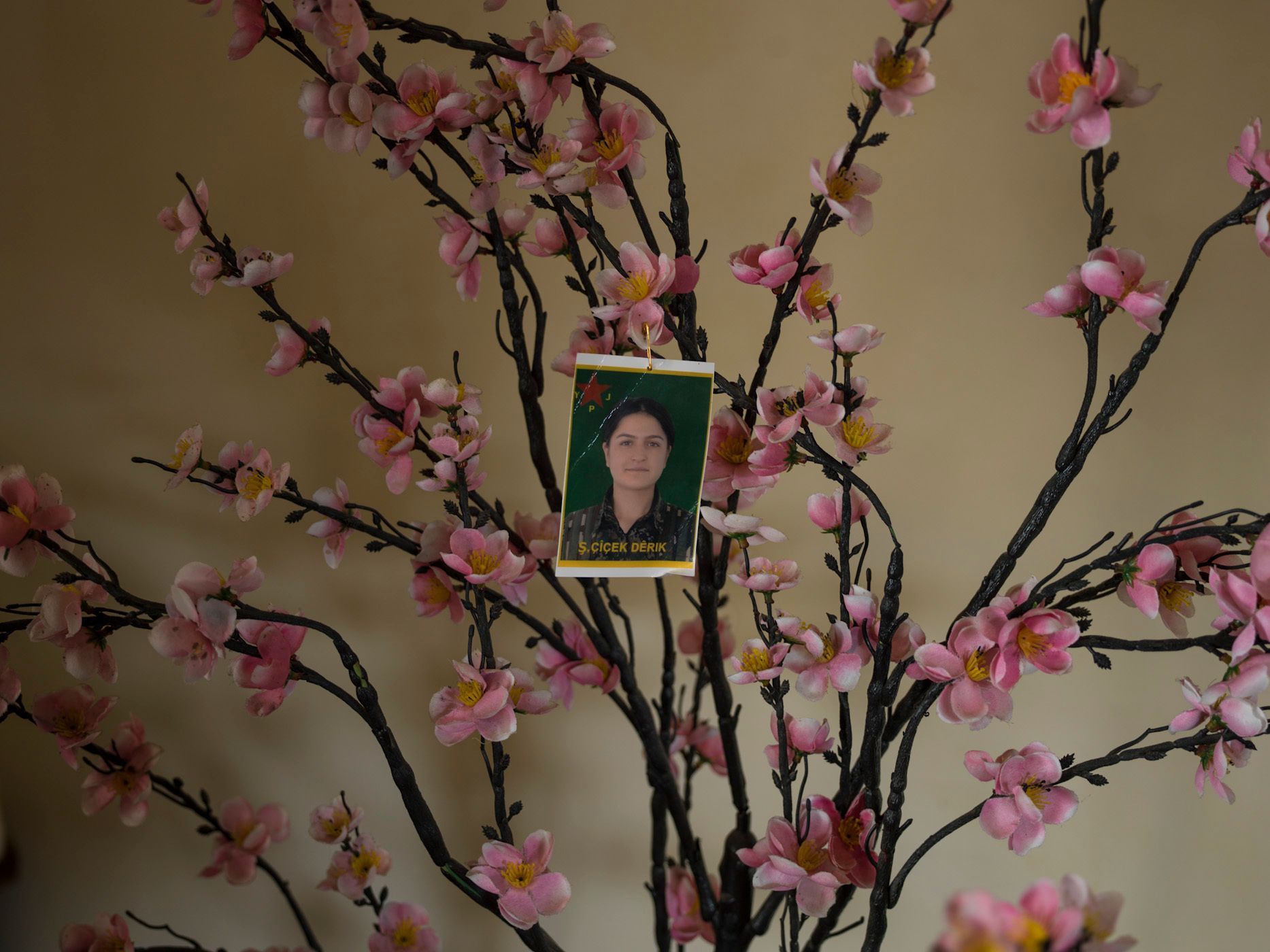 Cicek's picture attached to the branch of an artificial tree with fake blossoms, at her brother's house in Derek. 29.jpg