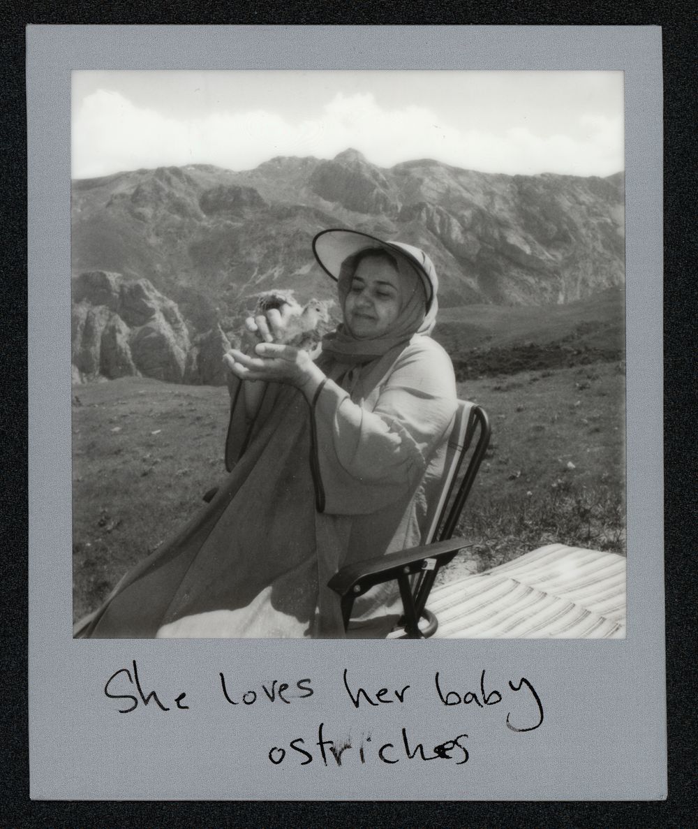 Newsha_polar_19 (1).jpg