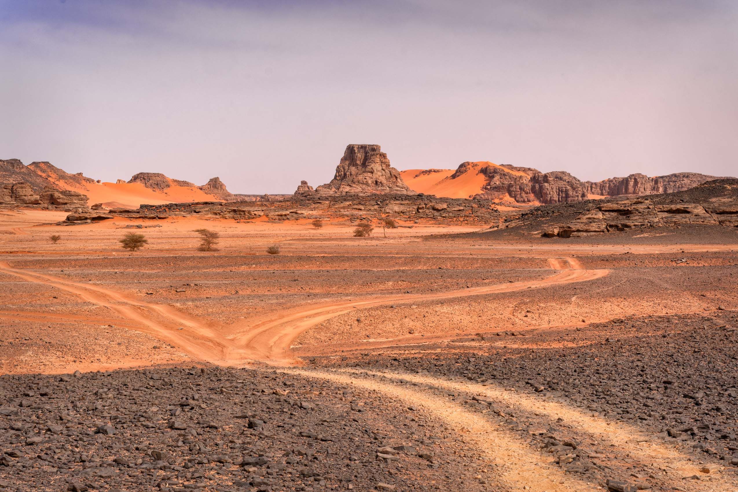 Algeria Sahara-2.jpg