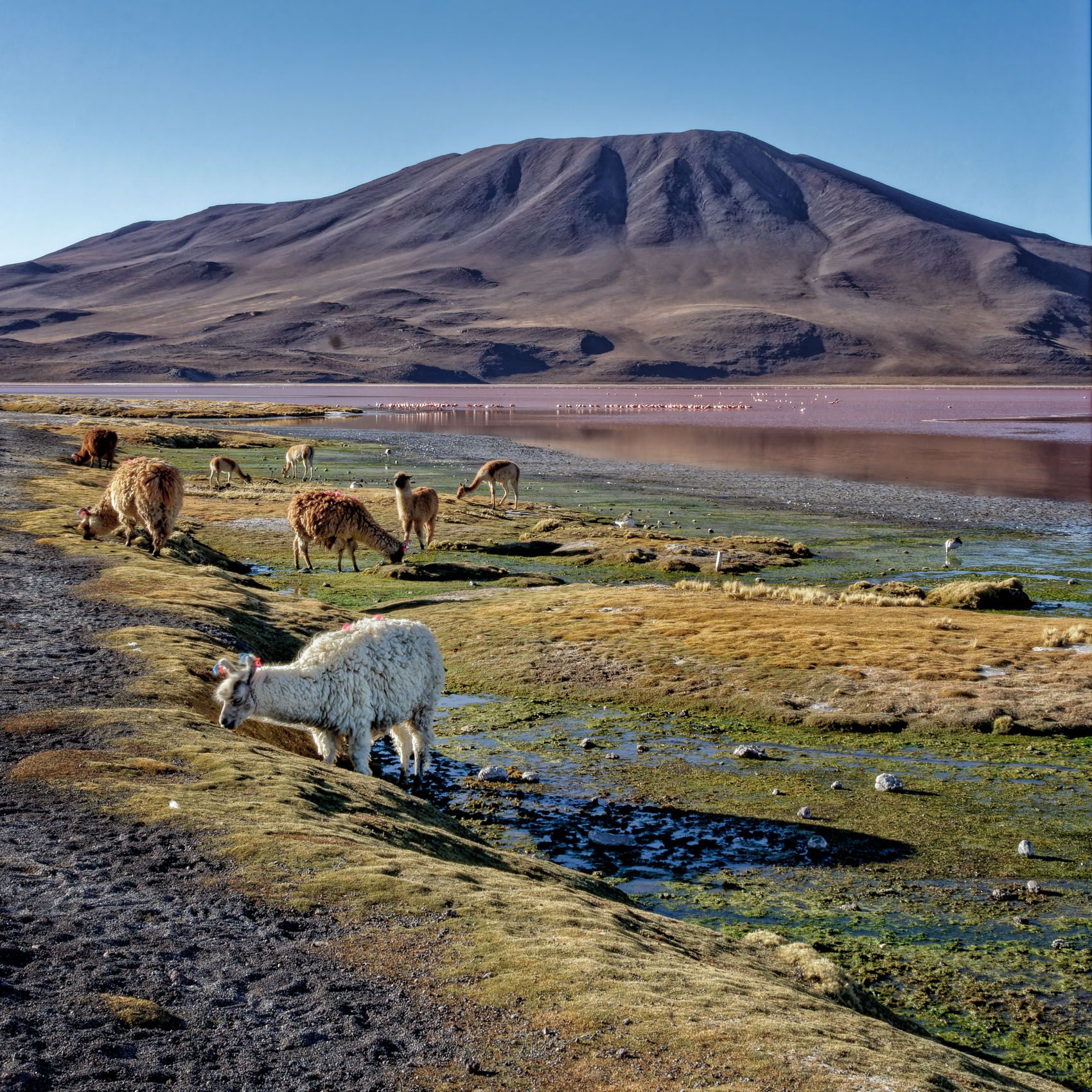 Altiplano-28.jpg