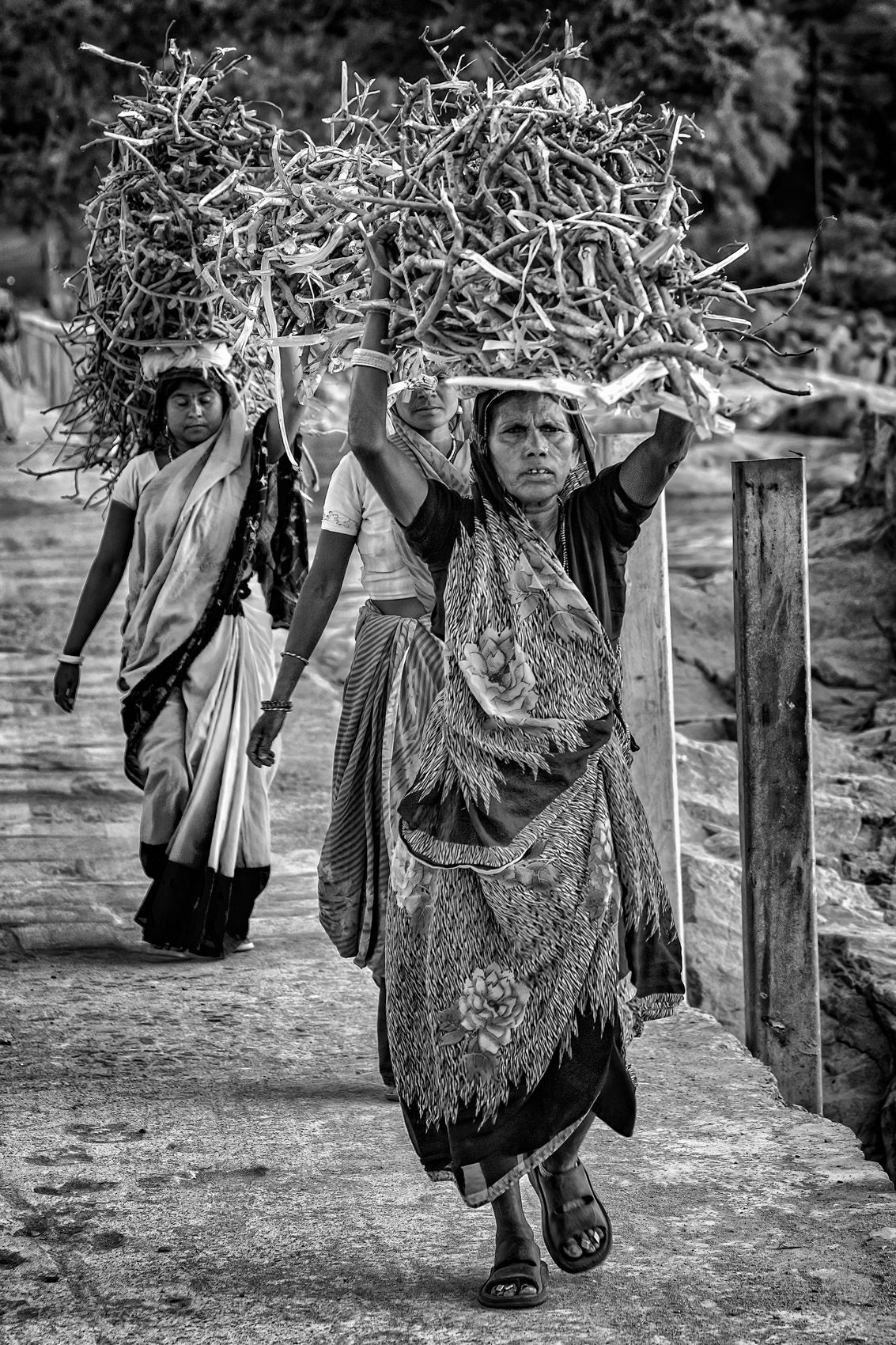 Carrying Firewood (Orchha, Madhya Pradesh) work.laborers-16.jpg