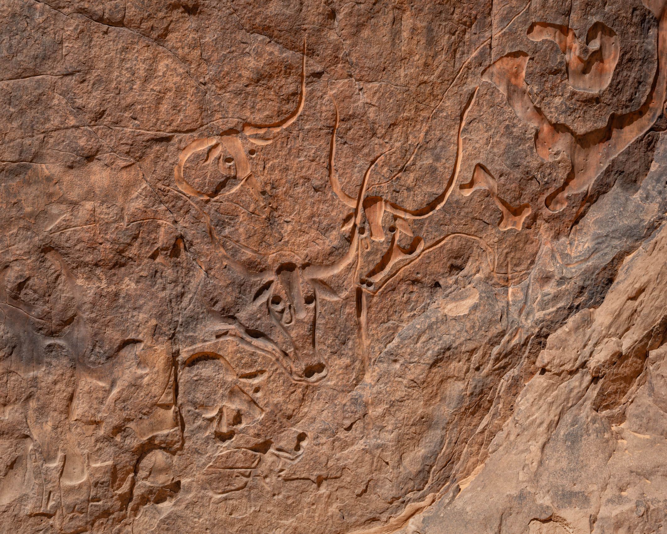 Algeria Sahara-31.jpg