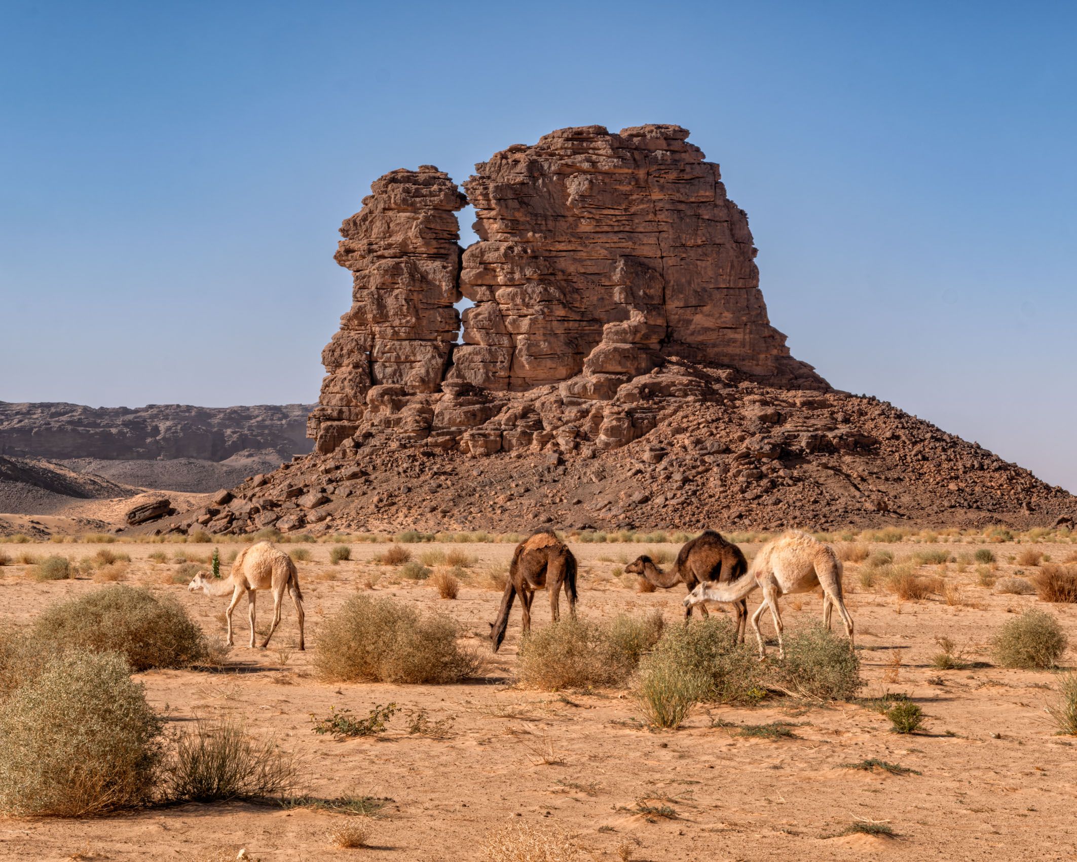 Algeria Sahara-27.jpg