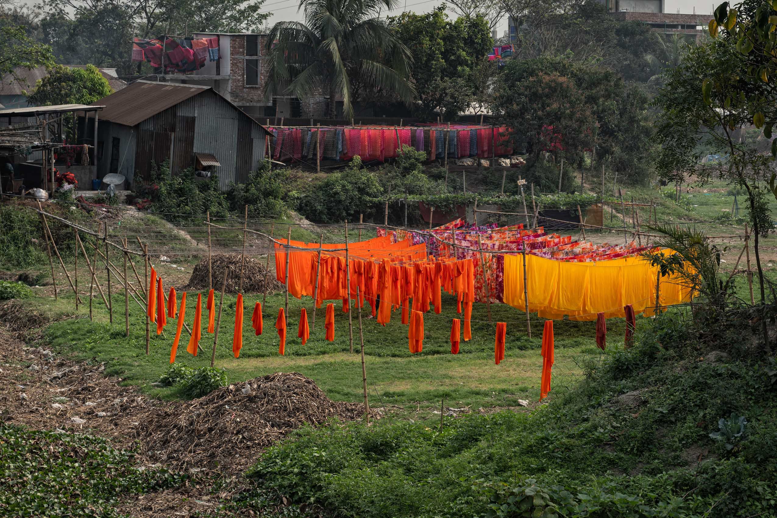 Dyeing-6.jpg