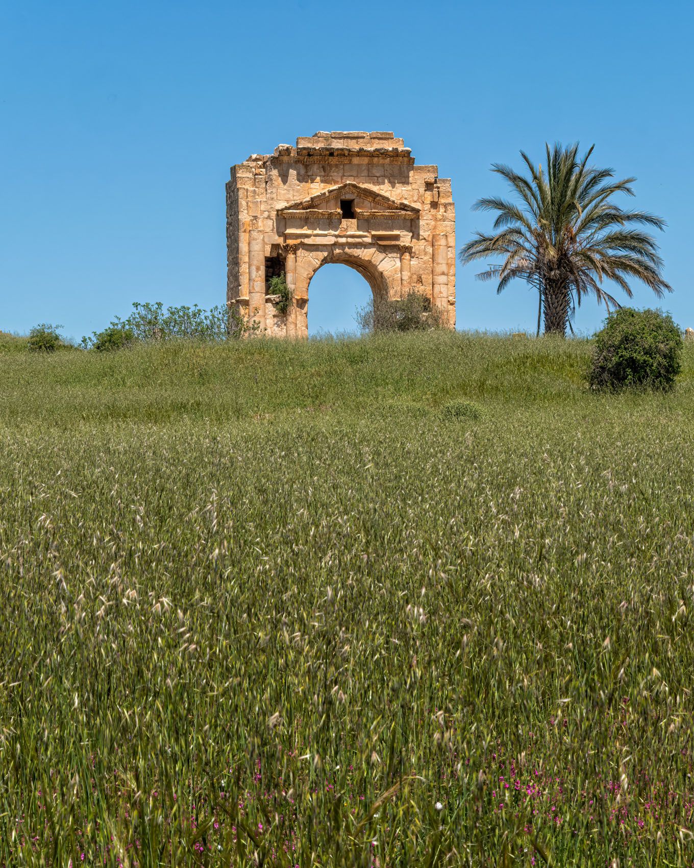 Tunisia Antiquities-7.jpg