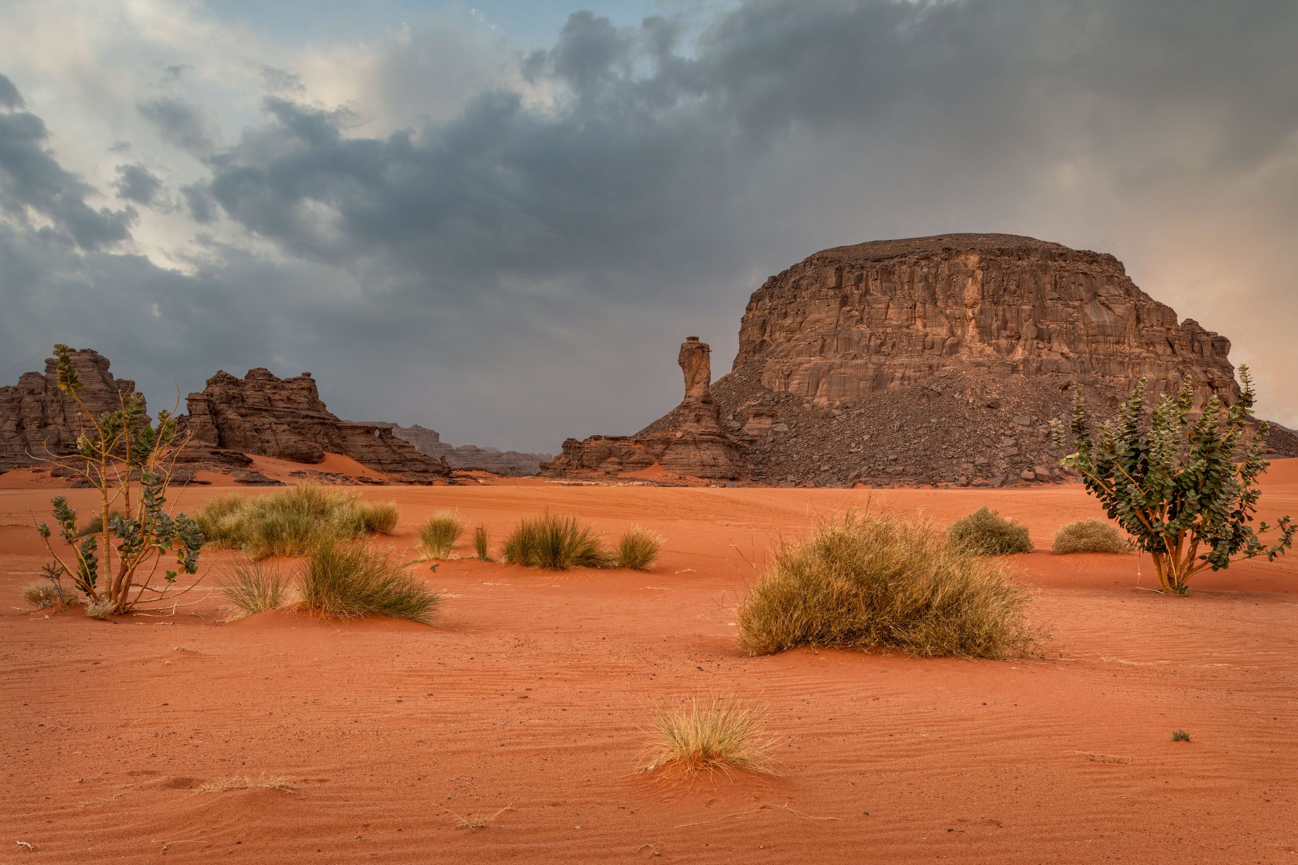 Algeria Sahara-11.jpg