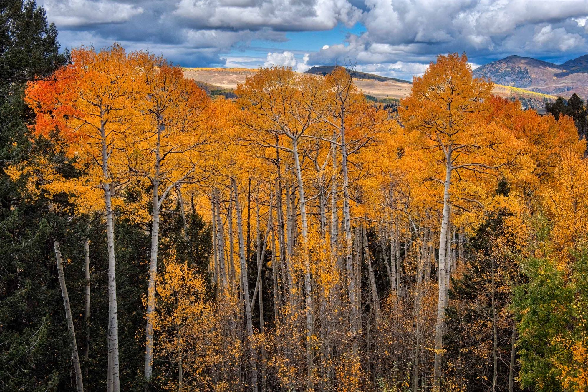 Fall Color in the San Juan Mountains of Colorado