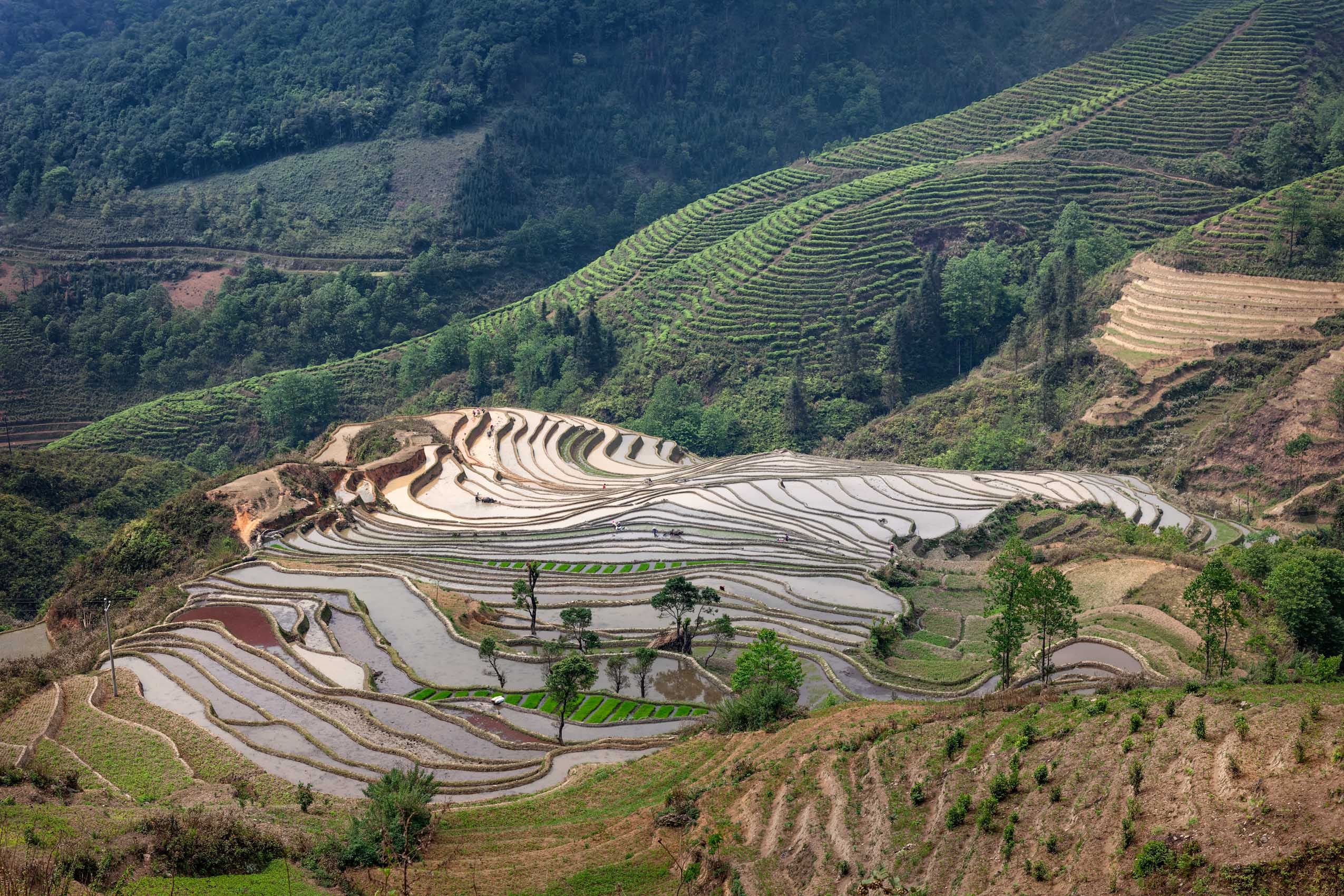 Yunnan.Terraces-1.jpg