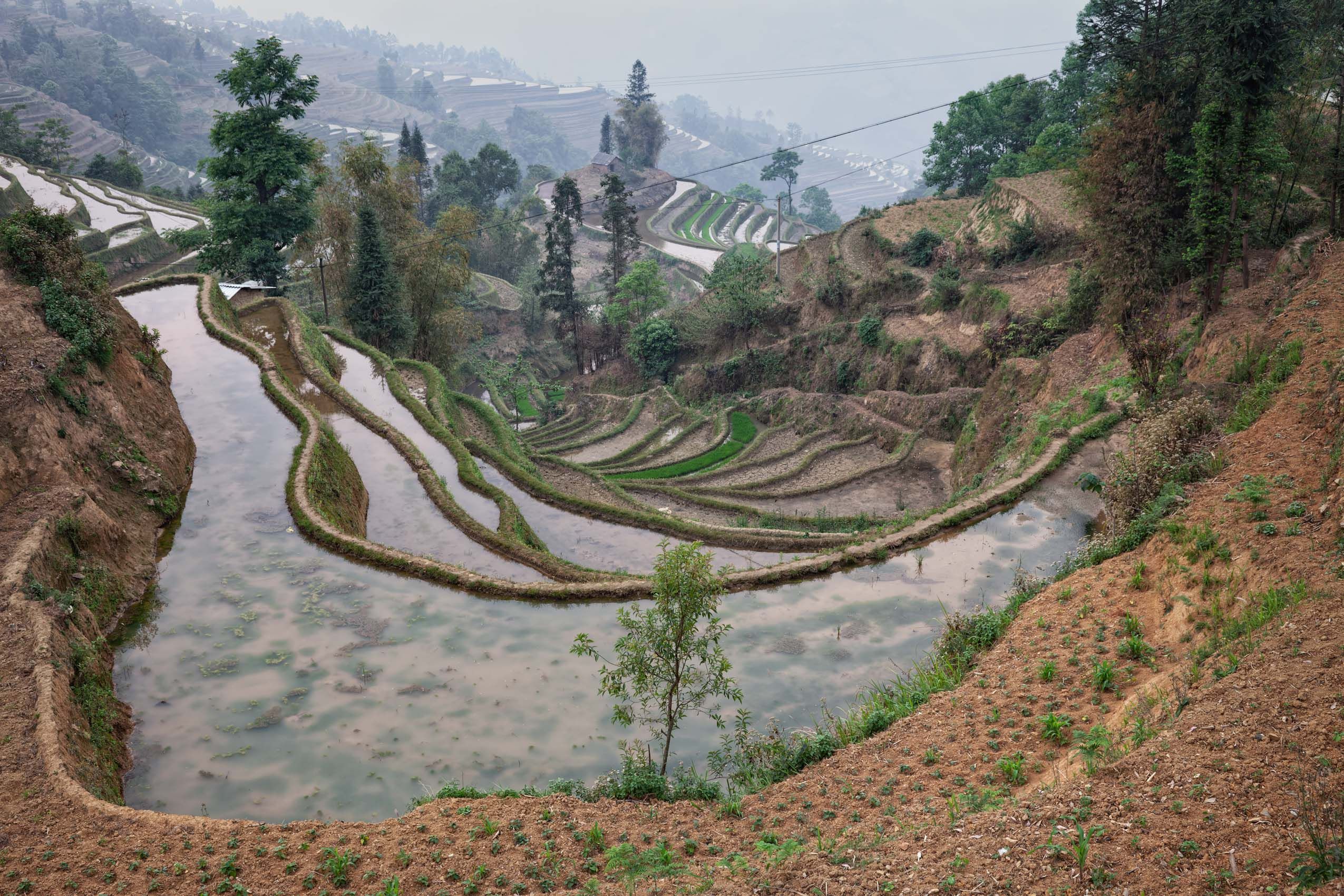 Yunnan.Terraces-4.jpg