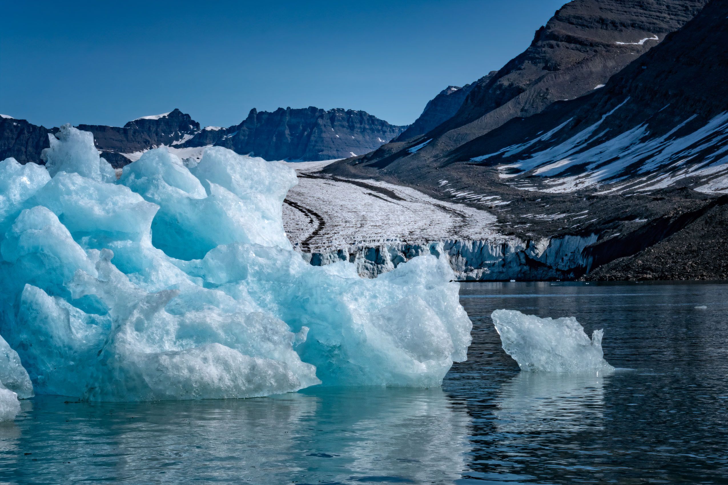 Arctic Landscapes, Icescapes, and Wildlife - LOUIS MONTROSE PHOTOGRAPHY