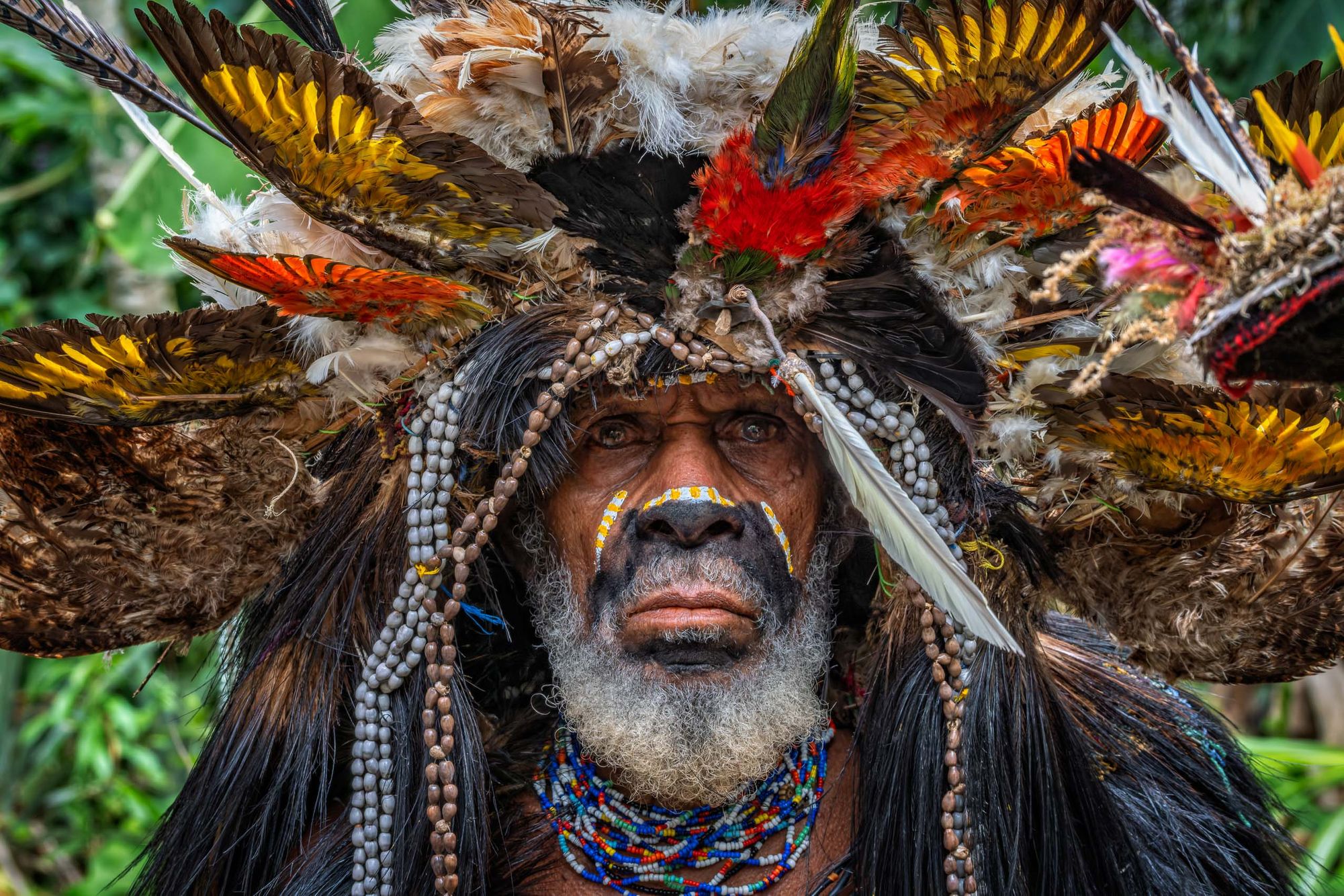 PAPUA NEW GUINEA:  Tribal Encounters in the New Guinea Highlands