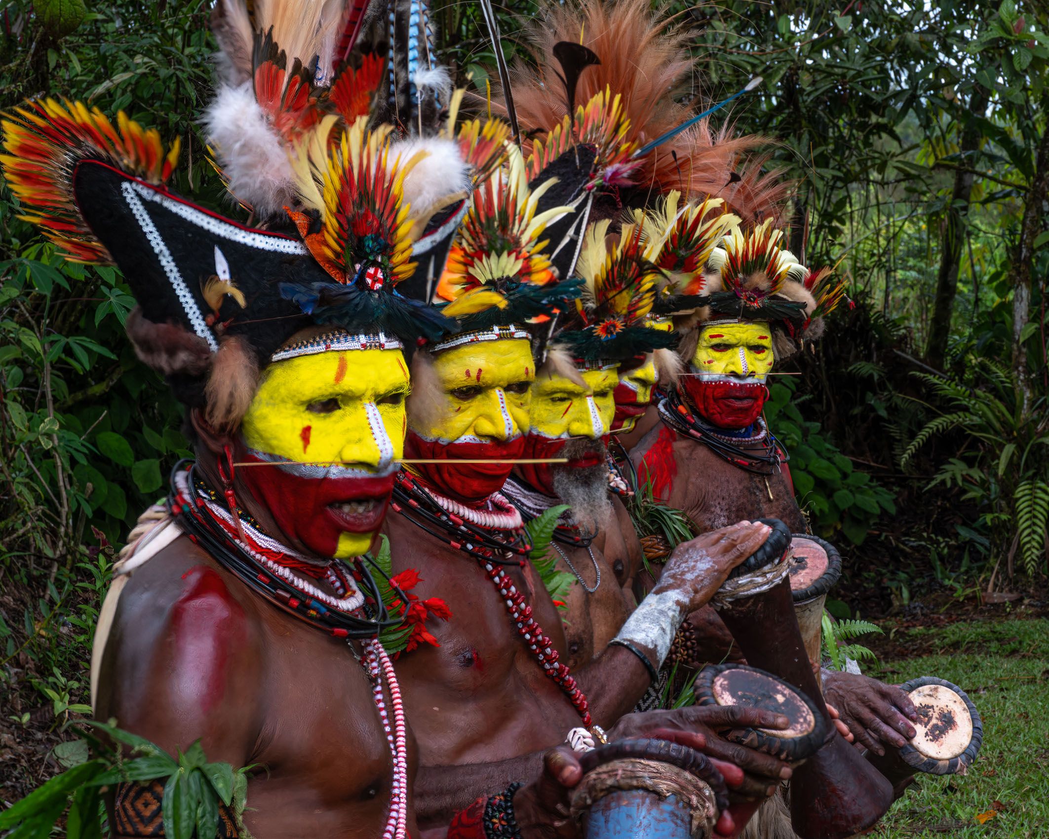 New Guinea Highlands-1.jpg