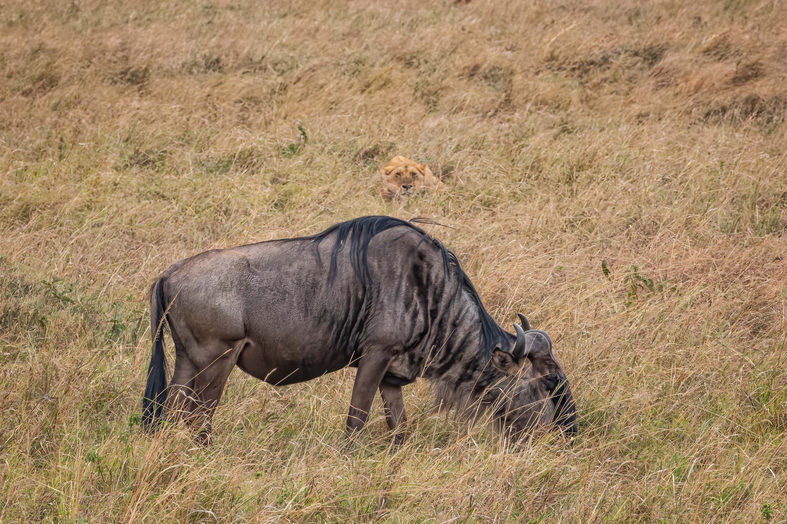KENYA.GM-26.jpg