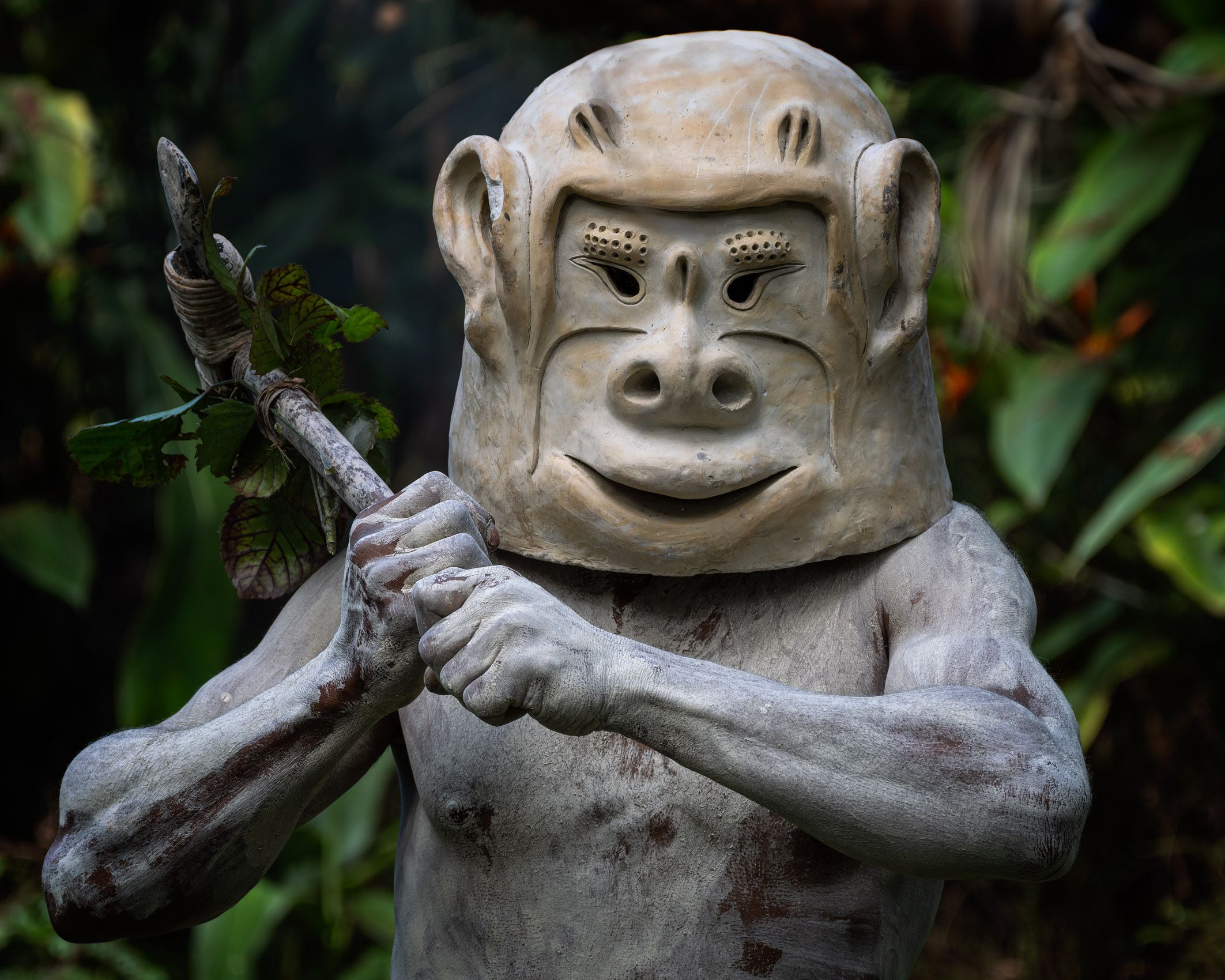 New Guinea Highlands-47.jpg