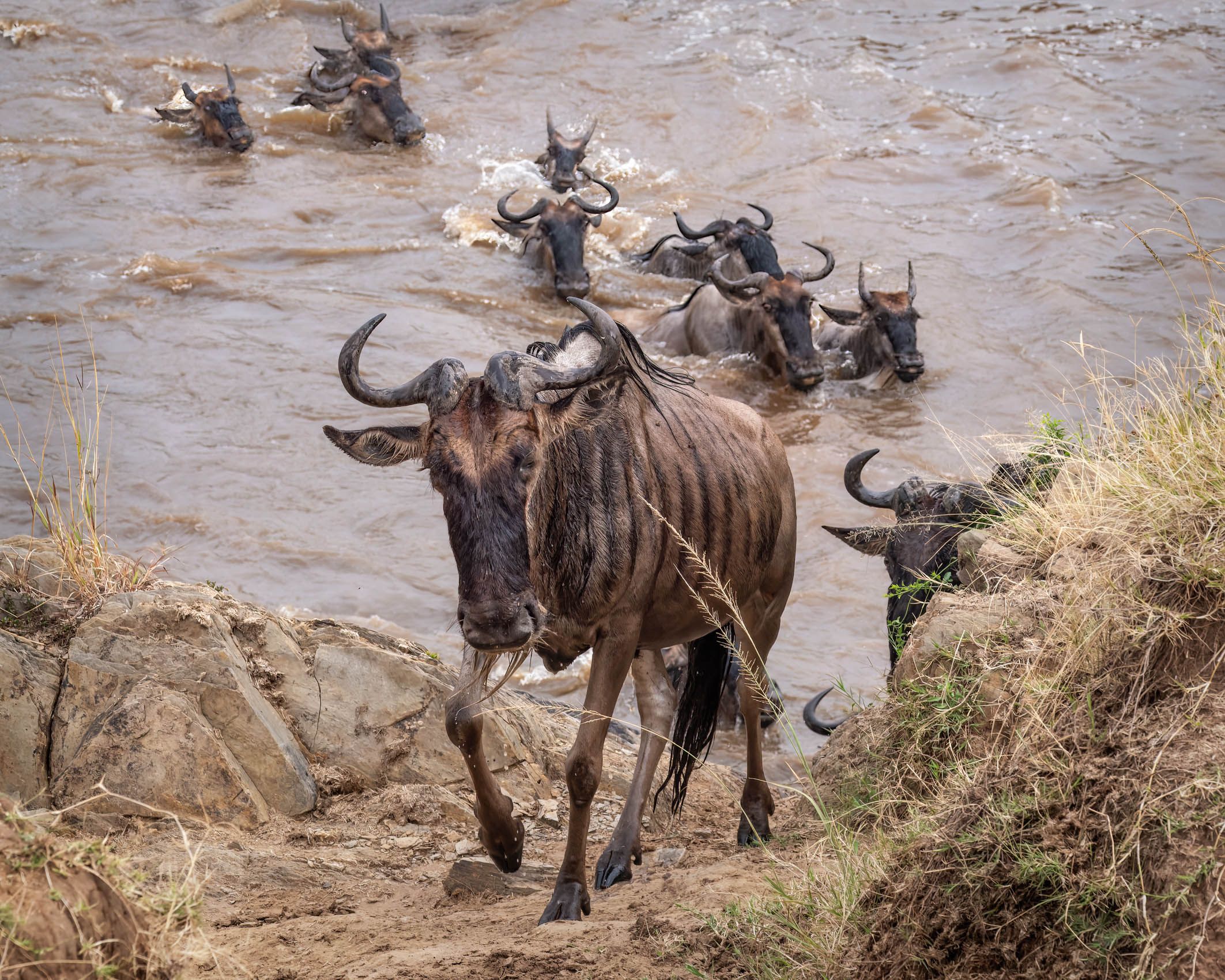 KENYA.GM-21.jpg