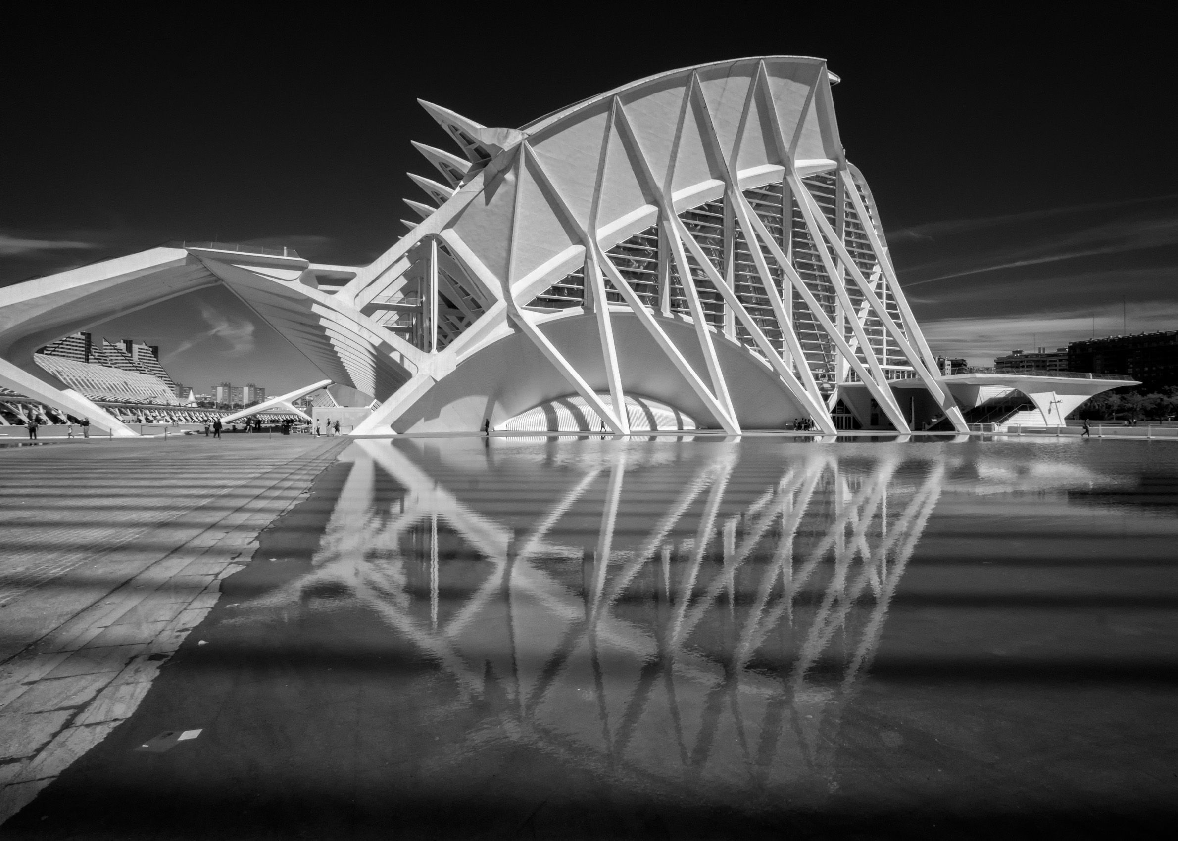 Montrose.-12.jpg