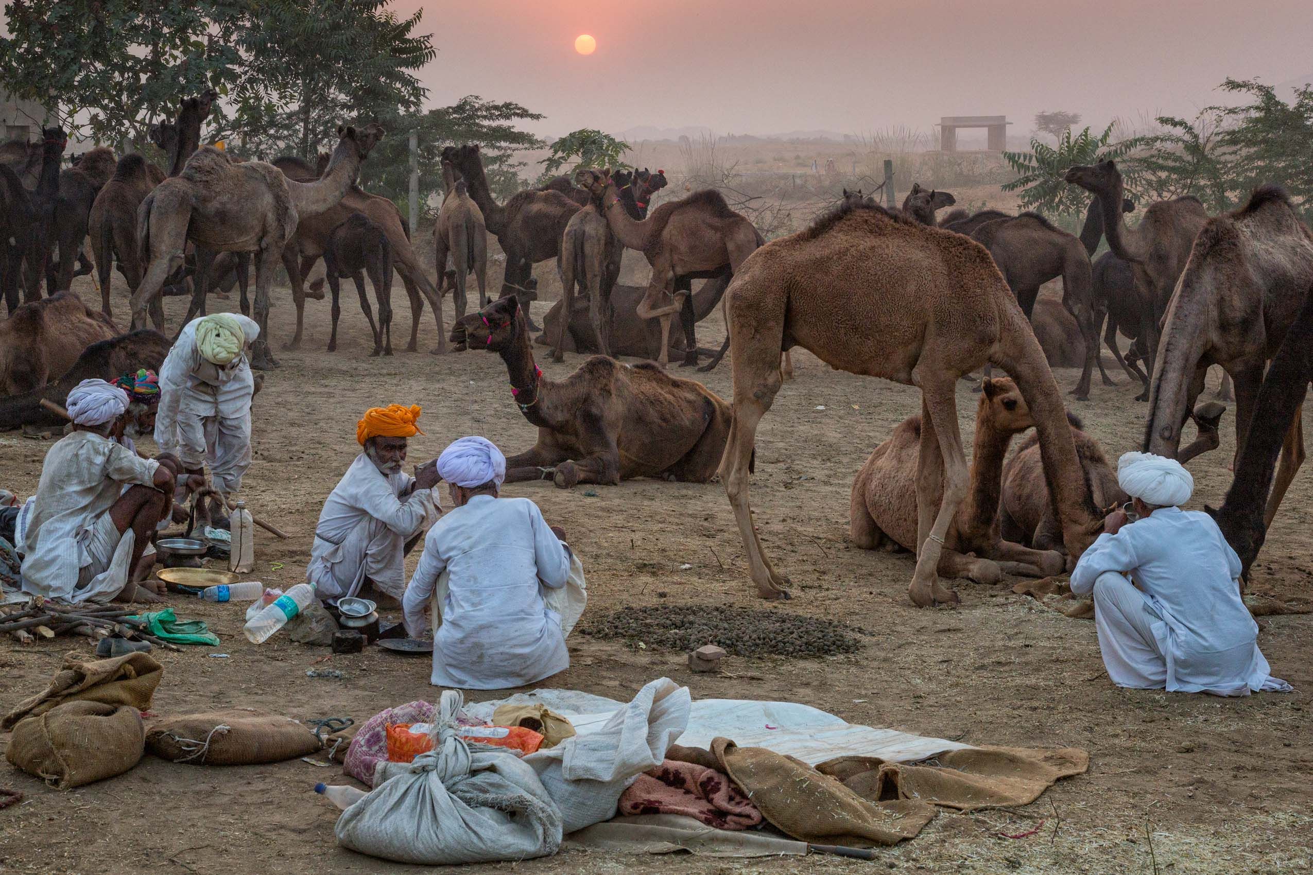 Pushkar Camel Fair - LOUIS MONTROSE PHOTOGRAPHY