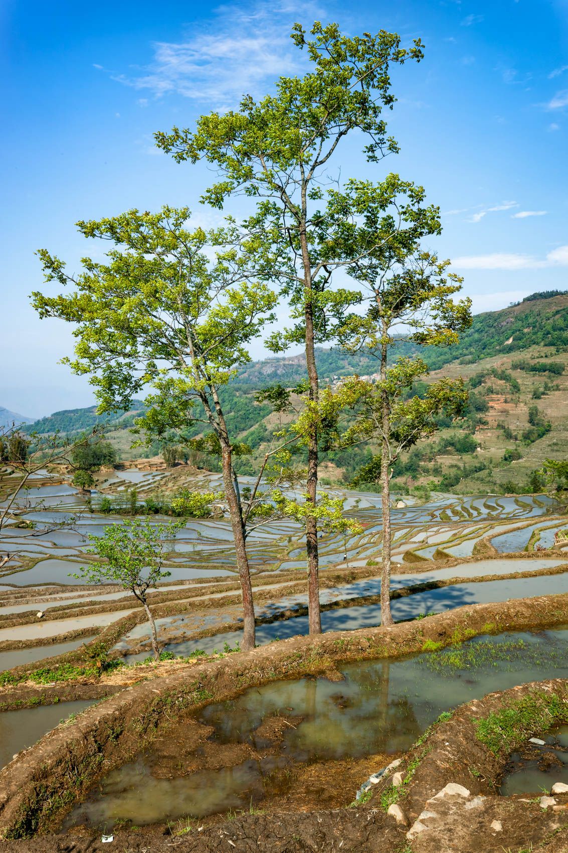 Yunnan.Terraces-8.jpg