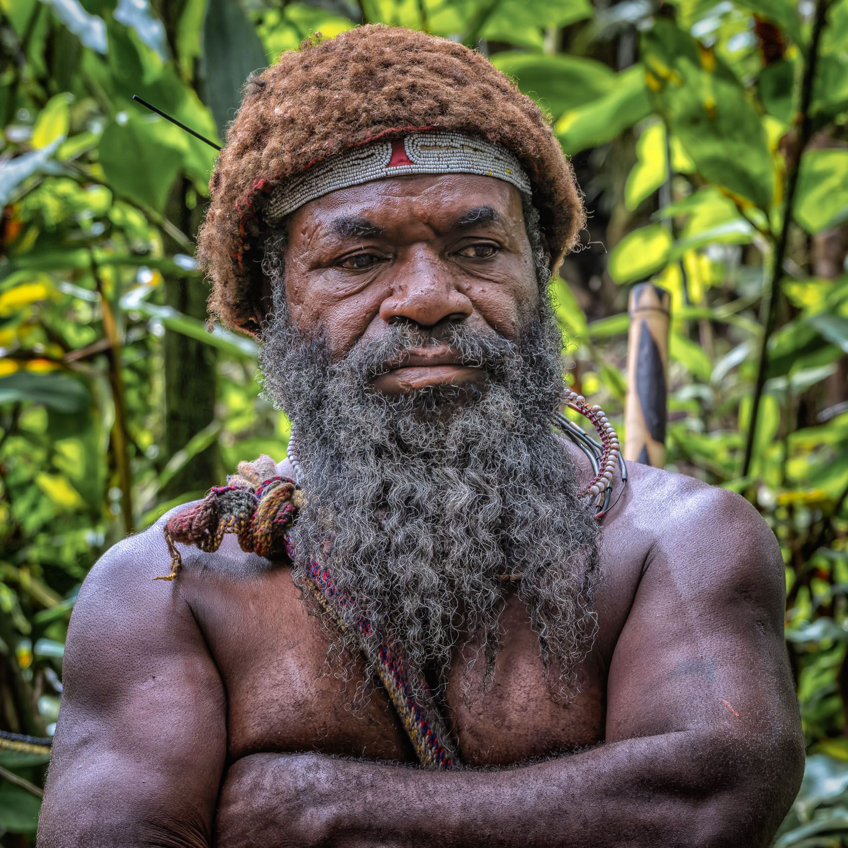 New Guinea Highlands-17.jpg